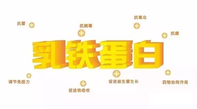 1505869053252972.jpg 乳铁蛋白.webp.jpg