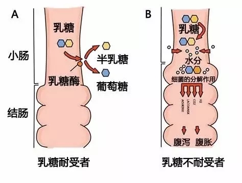640.webp (2).jpg